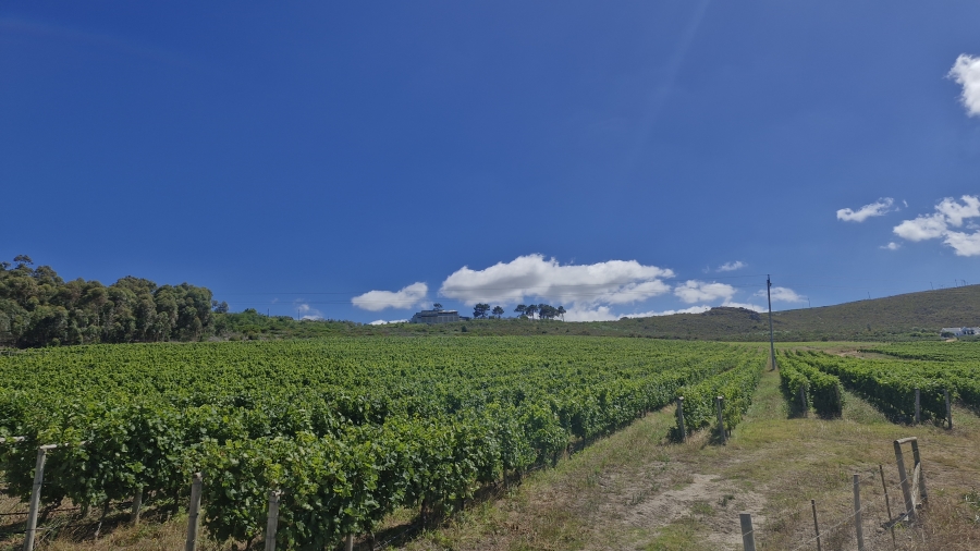 0 Bedroom Property for Sale in Hemel and Aarde Western Cape